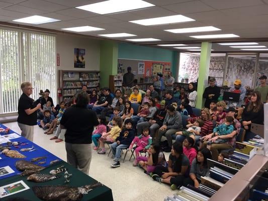 Hawks Honkers and Hoots, one of the excellent free children's programs at the El Cerrito Library