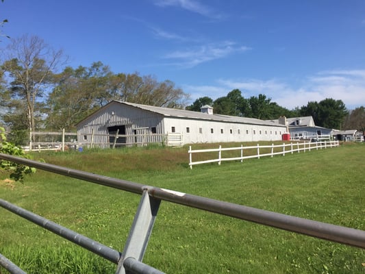 The back side of the barn