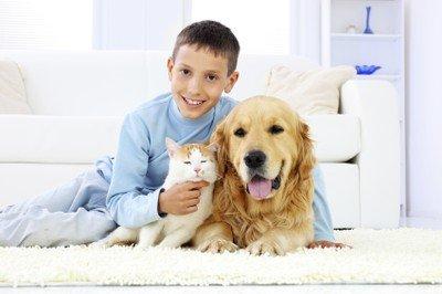 Our Pet Urine Odor Removal Treatment uses top of the line technology to make your carpets smell fresh again!