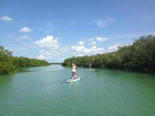 Paddle boarding between mangrove islands of Lovers Key in Fort Myers Beach Florida