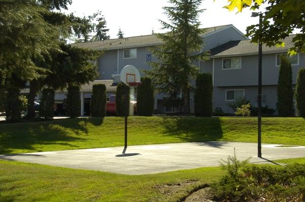 1/2 court basketball