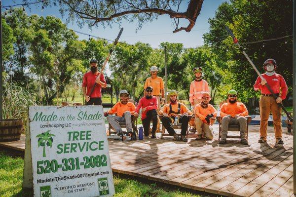 LET'S TALK TREES TUCSON....