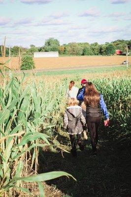 Walking through the maze!