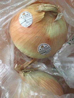 Mayan Sweet Onions