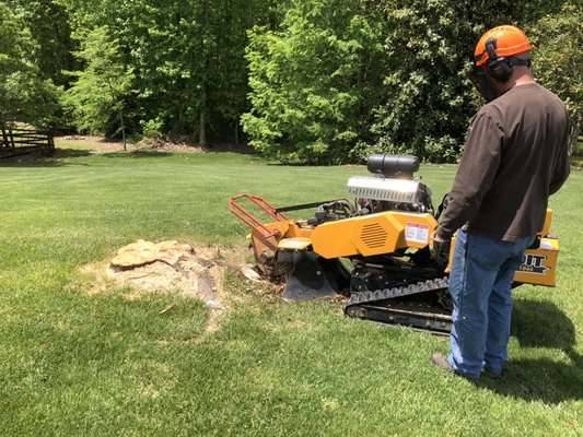 Stump Removal