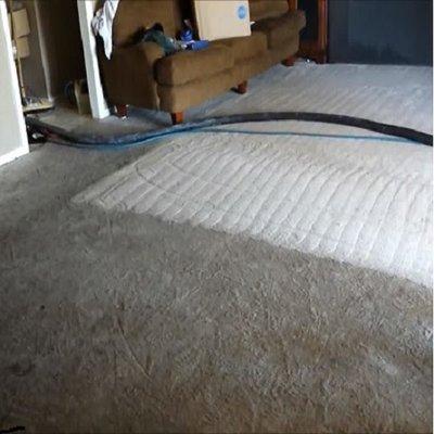 Carpet Restoration