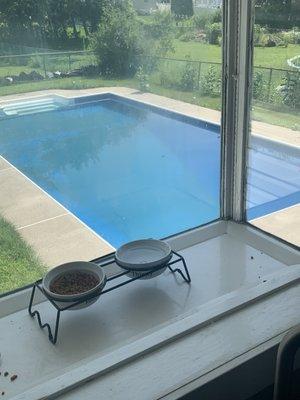 Excuse my cat bowl ... dirty pool from distance