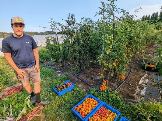 Tyler explaining about the various tomato varieties