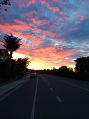 Photo by Whitney P. Road by SBCC Track.