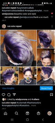 Purple Ombre