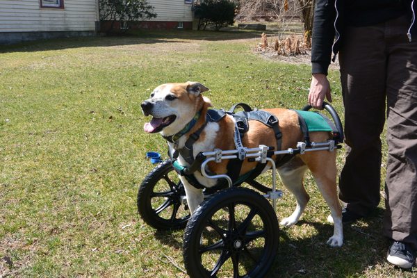 Tripod in a front wheel cart.