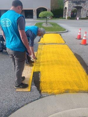 Painting speed bump