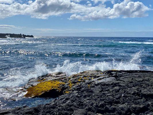 06.03.21 Punalu'u Black Sand Beach