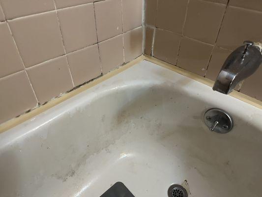 Mold and filth in cabin bath tub