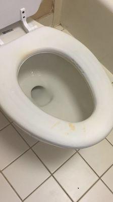 Urine and nasty toilet seat