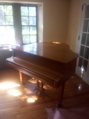 Piano Moving Professionals