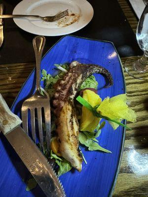 Grilled octopus