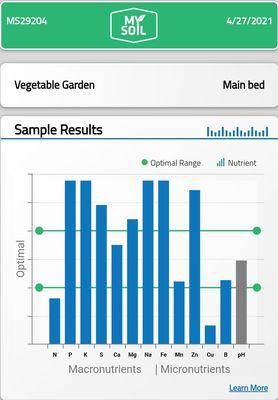 Soil test result. 3 parts raised bed mix, 1 part premium organic compost, some earthworm castings and a little rock phosphate sprinkled in