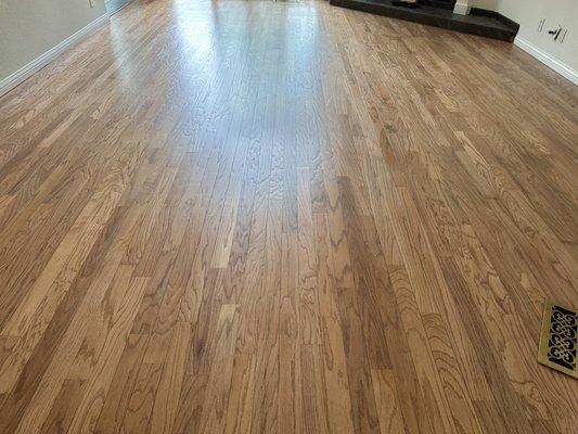 Engineer red oak refinish and coated with water base Traffic HD. Satin.