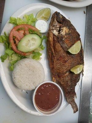 Mojarra frita,arroz,frijoles,ensalada y tortillas/fried fish,rice,beans,salad and tortillas.