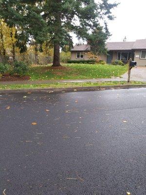 Fall cleanup cutting grass blow leaves raking and Hauling away raining day any day