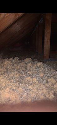 Attic Insulation