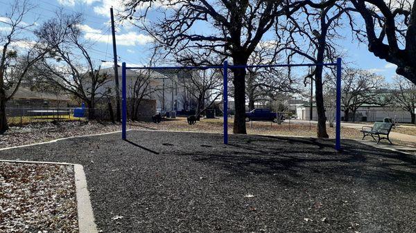 Lions Park swing set for toddlers and older kids.