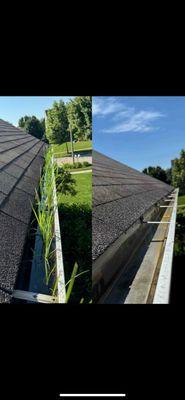 Gutter cleaning