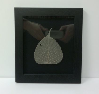 Bodhi leaf archivally framed using a direct contact over lay to suspend  the leaf within the frame.