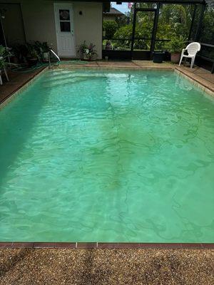 Our new client was dealing with a green pool, unfortunately it was due to a pump & dump company.  We got her pool clear within 3 days