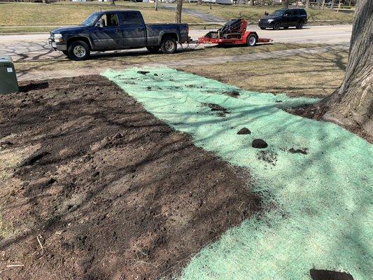 We added eco friendly straw wrap along with grass seed and blended in the edges with the existing yard.