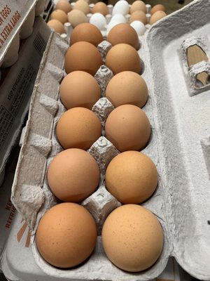 Green's Egg Farm