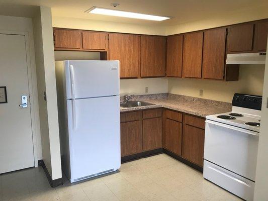 Standard 1 Bedroom Kitchen