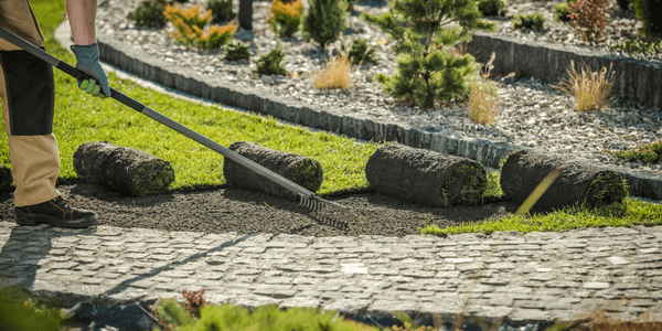 Sod installation