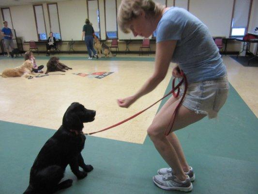 Kindergarten for our puppy