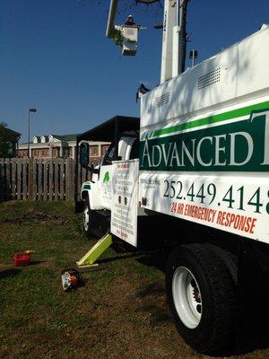 Outer Banks Tree Service | advtree.com