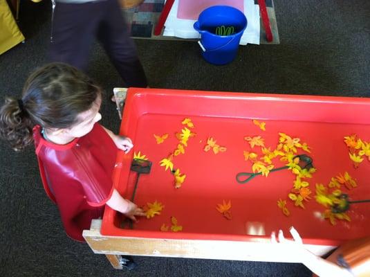 Sensory table-water