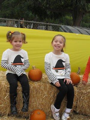 Our annual pumpkin patch is always a hit!