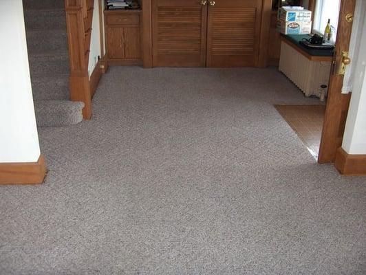 Optimum Carpet Care