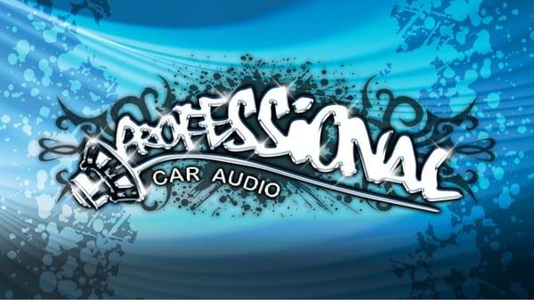 Professional Car Audio