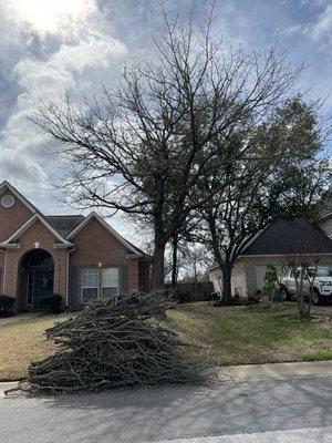 Quick trim for a customer in Pebble Creek. We always make sure that your yard is spotless after the job.