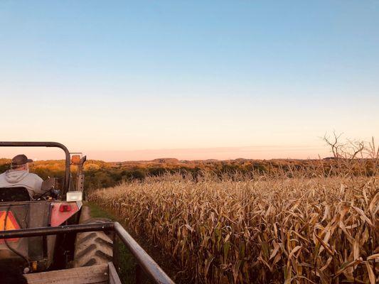 Yeck's Pumpkins and Hayrides