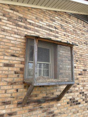 A pet balcony for a cat lover!