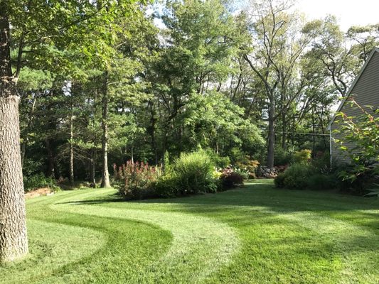 As you can see, Jason takes great care with the lawn and gardens, my yard is beautiful!