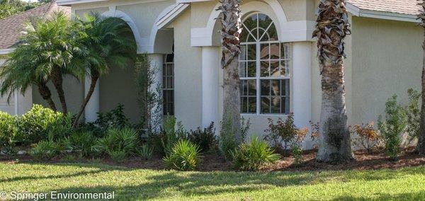 Front yard Florida native garden.