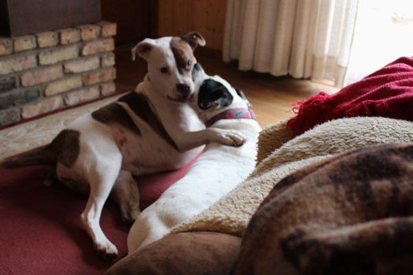 Chloe and Trudy Hugging and Kissing each other.