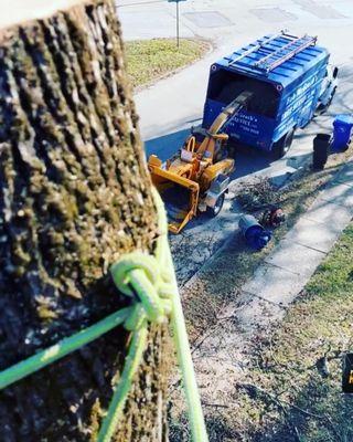 Bob McGrath's Tree Service, LLC