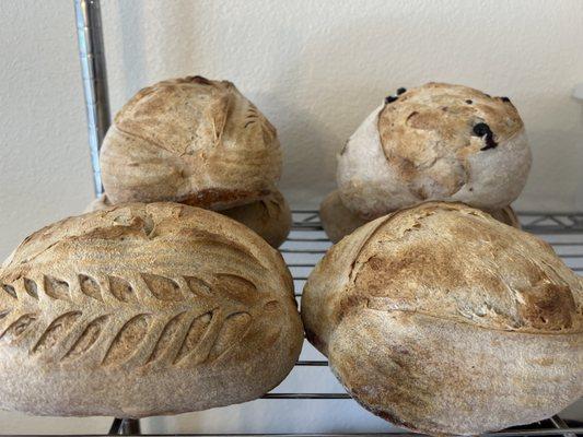 Freshly Baked Sourdough