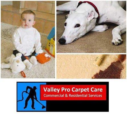 Valley Pro Carpet Care