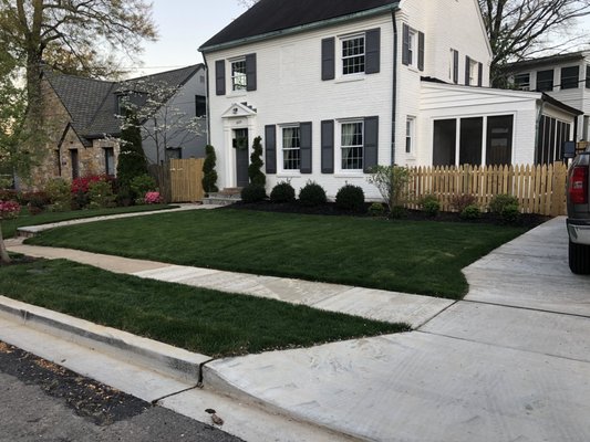 Super green front lawn in Arlington!